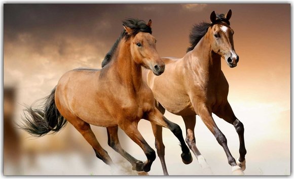 Significado do Cavalo: Simbologia Espiritual e Mística 🐎